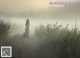 A woman walking through a field of flowers in the fog.